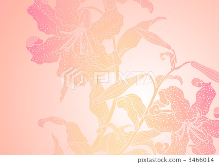 flower, flowers, botanic 3466014