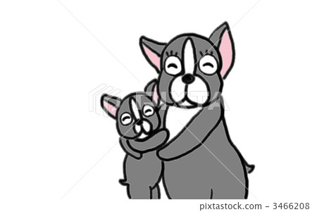 法國牛頭犬 愛情 愛 3466208