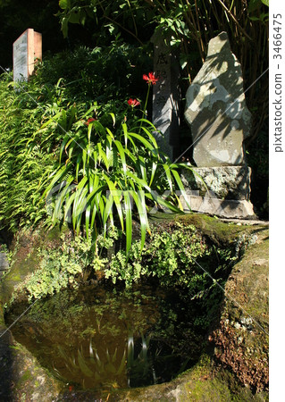 鎌倉的底部排水良好 3466475