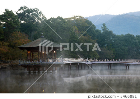 Morning of Nara Ukimido 3466881