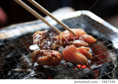 本地土雞 雞 雞肉 3467346