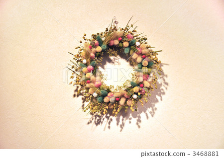 Flower lease Flower lease 3468881