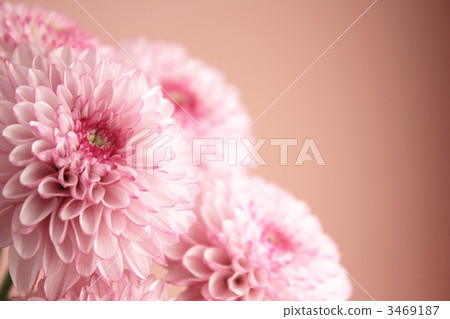 噴霧媽媽（棒棒糖） 3469187