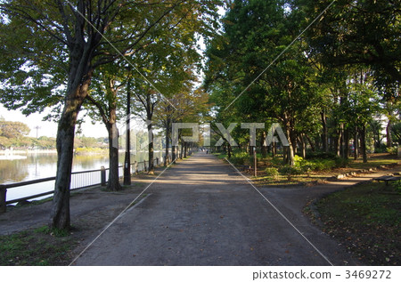 Promenade of Ukima Park 3469272