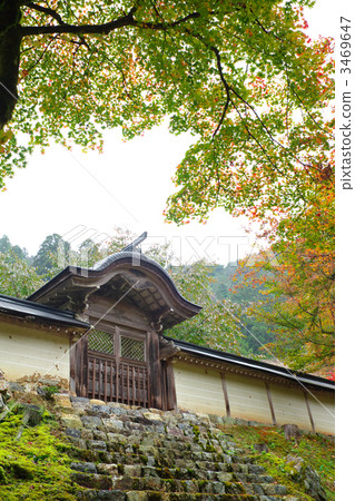 Togansuji Togansuji 3469647