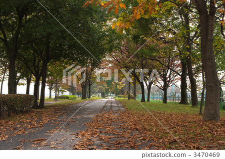 walking path, public facilities, interval of clear weather 3470469