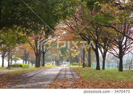 walking path, public facilities, park 3470473