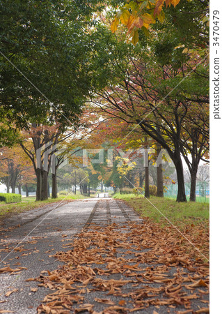 walking path, public facilities, park 3470479