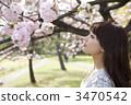 A woman looking at a cherry tree 3470542