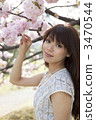 A woman looking under a cherry tree 3470544