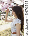 A woman looking at a cherry tree 3470545