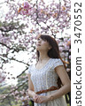 A woman looking up at the cherry tree 3470552