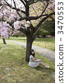 A woman sitting under a cherry tree 3470553