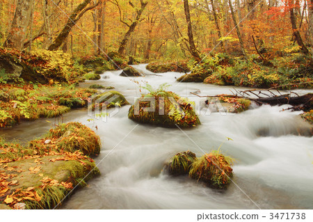 Turbulence flow of Oirase stream of late autumn 3471738