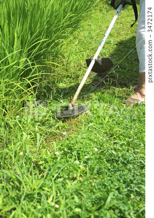 Summer Mower - 3 3472174