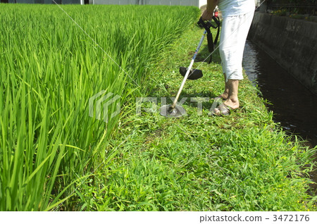 Summer Mower - 4 Summer Mower - 4 3472176