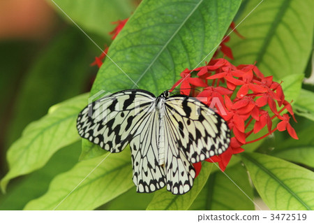 誰在桑坦德吸煙 3472519