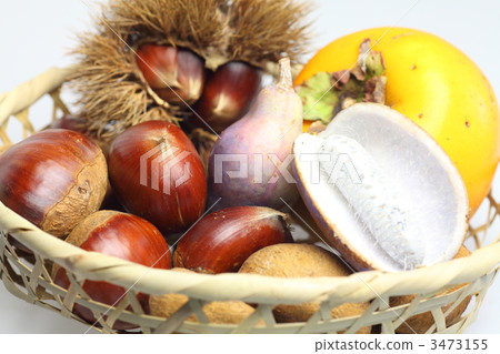 Autumn taste 3473155