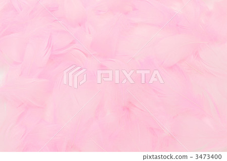 羽毛 羽毛 3473400