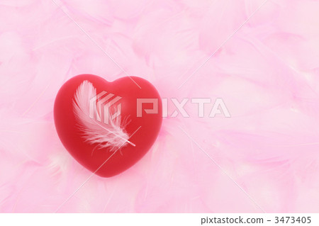 紅色的心和羽毛 3473405