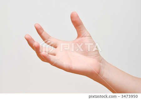 右手 身體部位 手 3473950
