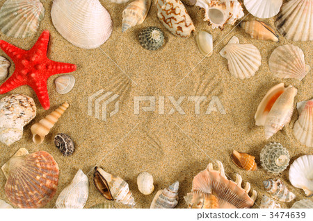 Seashell frame 3474639
