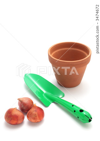 鬱金香球莖，鐵鍬和花盆 3474672