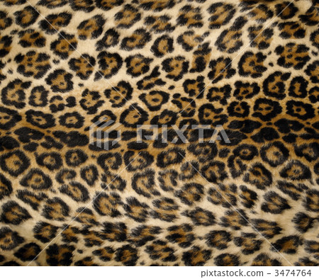 Leopard print Leopard print 3474764