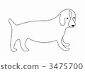 dog, dogs, illustration 3475700