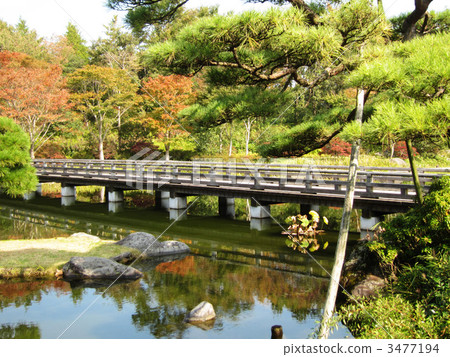 Bridge of Japanese garden 3477194