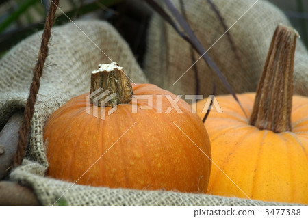 萬聖節南瓜 3477388
