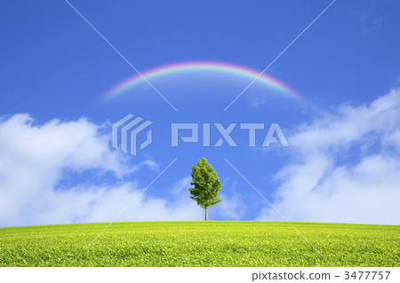 Meadow and blue sky and trees Meadow and blue sky and trees 3477757