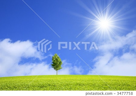 Meadow and blue sky and trees Meadow and blue sky and trees 3477758