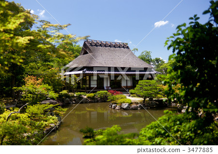 仲夏的巡遊花園 3477885