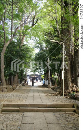 代代木八幡 代代木八幡 3478297