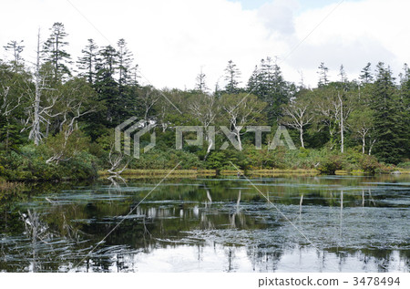 二世谷(Shinsenuma) 二世谷(Shinsenuma) 3478494