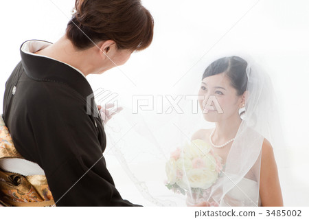 two-shot (a picture of two people together), veil, preparations 3485002