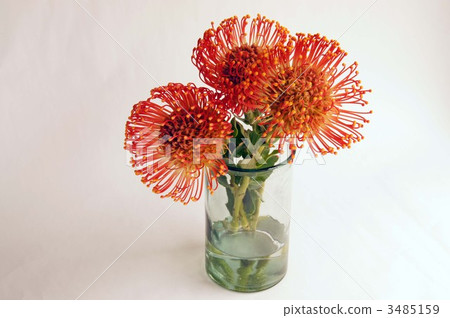 針墊 針墊 3485159