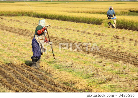 農村 - 農業風光 3485595