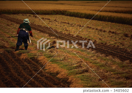 農村 - 農業風光 3485602