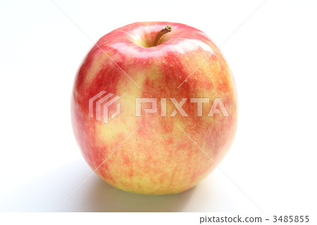 Apple Apple 3485855