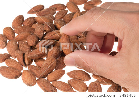 Hand picking almonds 3486495