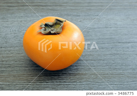 柿子柿子(岡崎) 柿子柿子(岡崎) 3486775