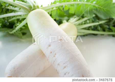 整體疾病育肥 3487678