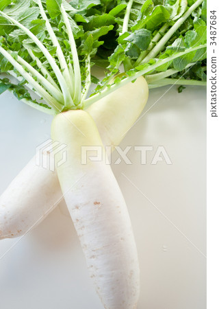 Overall disease fattening 3487684