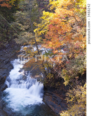 Autumn leaves of Lalmanai valley (long exposure) 3488242
