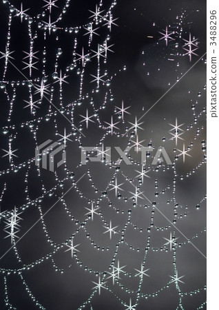 Rain drops on the spider's thread Rain drops on the spider's thread 3488296