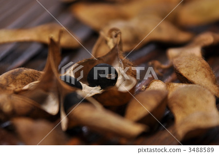 Black beans and shells 3488589