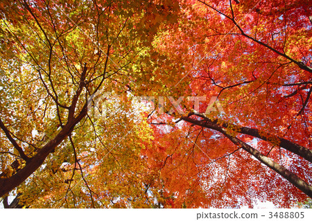 盛岡城堡秋葉公園廢墟 3488805