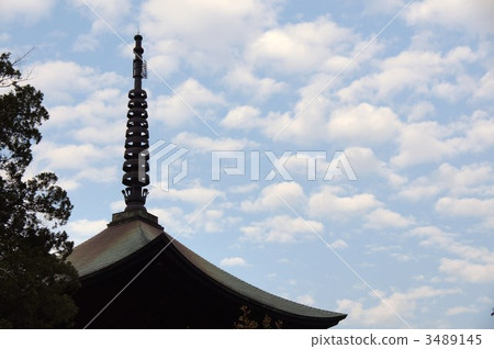 信濃國分寺 信濃國分寺 3489145